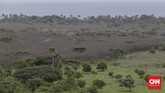 Tiga kilometer dari Sabana Bekol terdapat Pantai Bama. Pantai dengan hamparan pasir putih ini cocok untuk bersantai sambil menanti senja. Di sekitar Pantai Bama juga terdapat Hutan Mangrove yang tenang. (CNN Indonesia/Adhi Wicaksono)