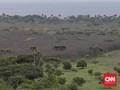 FOTO: Pemandangan Langka Taman Nasional Baluran Menghijau