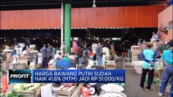 Efek Virus Corona Buat Harga Bawang Putih Melonjak