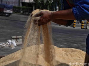 Petani Tebu Soroti Tata Kelola Impor Gula, Sarankan Hal Ini ke Pemerintah