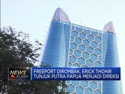 Erick Thohir Tunjuk Putra Papua Jadi Direktur Freeport
