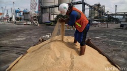 Begini Respons Mentan soal Rencana Impor Gula 200 Ribu Ton