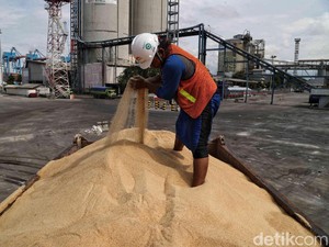 Begini Respons Mentan soal Rencana Impor Gula 200 Ribu Ton