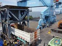 Mirip Pasir Diangkut Truk, Ini Penampakan Gula Impor Masuk RI