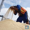 Jokowi Terus Kejar Harga Gula, Pedagang Heran Kok Masih Mahal