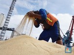 Alasan Gula Mahal, Jalur Distribusi Gula Rawan Permainan