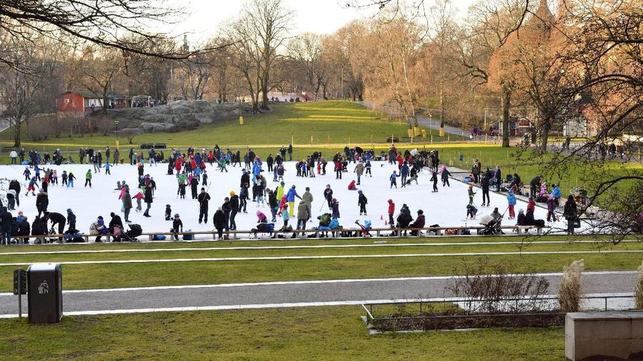 People ice skate at an ice rink in the Vasa Park in central Stockholm, Sweden, on Dec. 29, 2013. Temperatures in many parts of Sweden reached almost a springlike level during the Christmas holidays.  (AP Photo/TT/Henrik Montgomery)  SWEDEN OUT