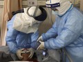 Warga Belanda Positif Virus Corona Usai Pulang dari Italia