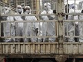 512 Orang di Penjara China Terinfeksi Virus Corona