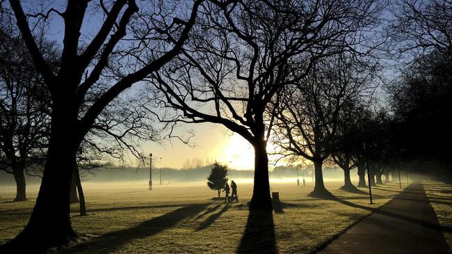 Pindah ke Selandia Baru Makin Mudah, Siapkan Duit Segini