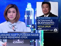 Kata APEI Soal Nasib 800 Sub-Rekening Efek Terkait Jiwasraya