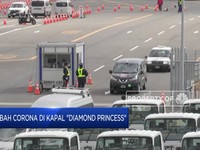 Akhiri Karantina, Penumpang Diamond Princess Diizinkan Pulang