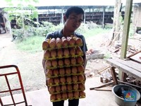 Viral! Aksi Peternak Buang-Buang Telur, Ternyata Ini Sebabnya