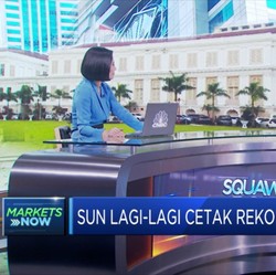 SUN Cetak Rekor, Pengamat: SUN RI Masih Menarik Bagi Investor