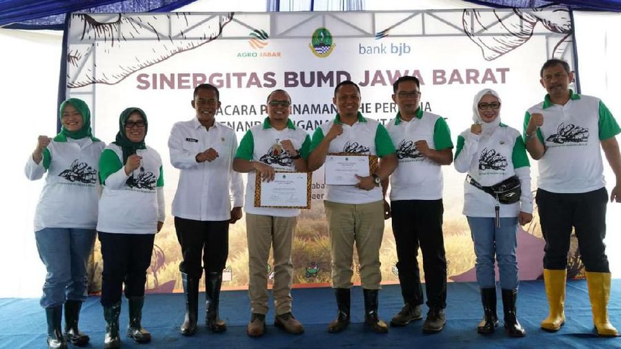 PT Bank Pembangunan daerah Jawa Barat dan Banten, Tbk (bank bjb) menyepakati kerja sama penyaluran fasilitas kredit kepada PT Agro Jabar (Perseroda).