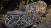 Ia mengaku telah memimpikan karya ini sejak lama, namun perang Revolusi Nicaragua pada dekade 60-an menjadi momen tepat baginya ke gunung sembari menyelamatkan diri. (Photo by INTI OCON / AFP)