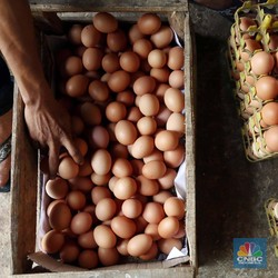 Ku Menangis... Harga Telur Kian Tipis, Pedagang Makin Miris!