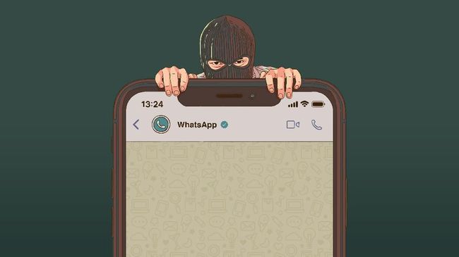 Be Careful!  This SMS is not from WhatsApp, but a digital thief