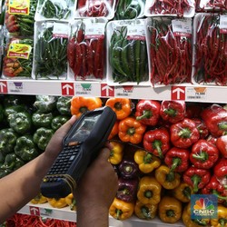 Sayur dan Buah yang Rentan Terkontaminasi Mikroplastik