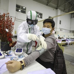 Geger Virus Baru Tick Borne di China, Ini Faktanya!