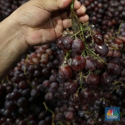 Catat, Ini 12 Buah dan Sayuran Mengandung Pestisida Tinggi