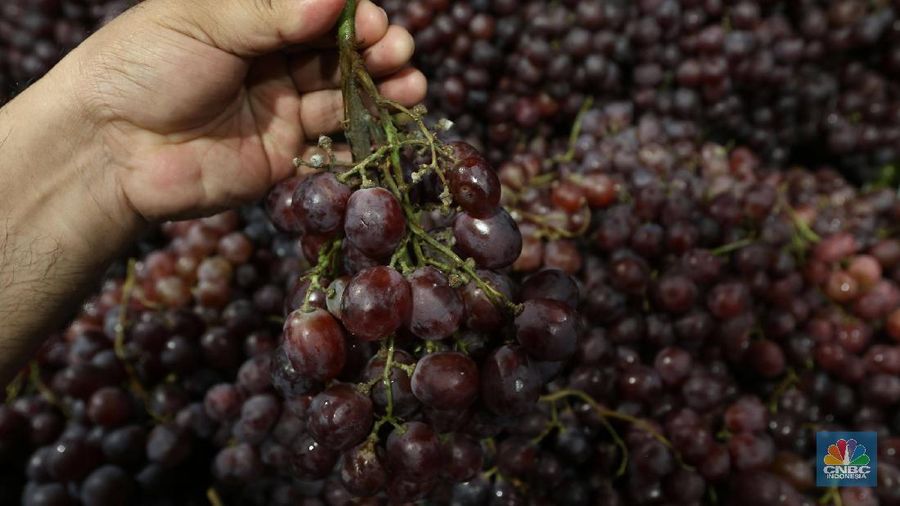 Petugas Swalayan mengecek buah dan sayuran di Supermarket Kawasan Tangerang Selatan, Kamis (20/02/2020). Pemerintah berupaya melakukan peningkatan produksi buah-buahan dalam negeri dan diharapkan tidak hanya dilakukanuntuk mendongkrak ekspor. (CNBC Indonesia/Muhammad Sabki)