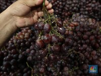 Catat, Ini 12 Buah dan Sayuran Mengandung Pestisida Tinggi