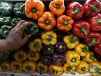 Ampas Makanan Sampai Sayur Impor Banjiri RI di April