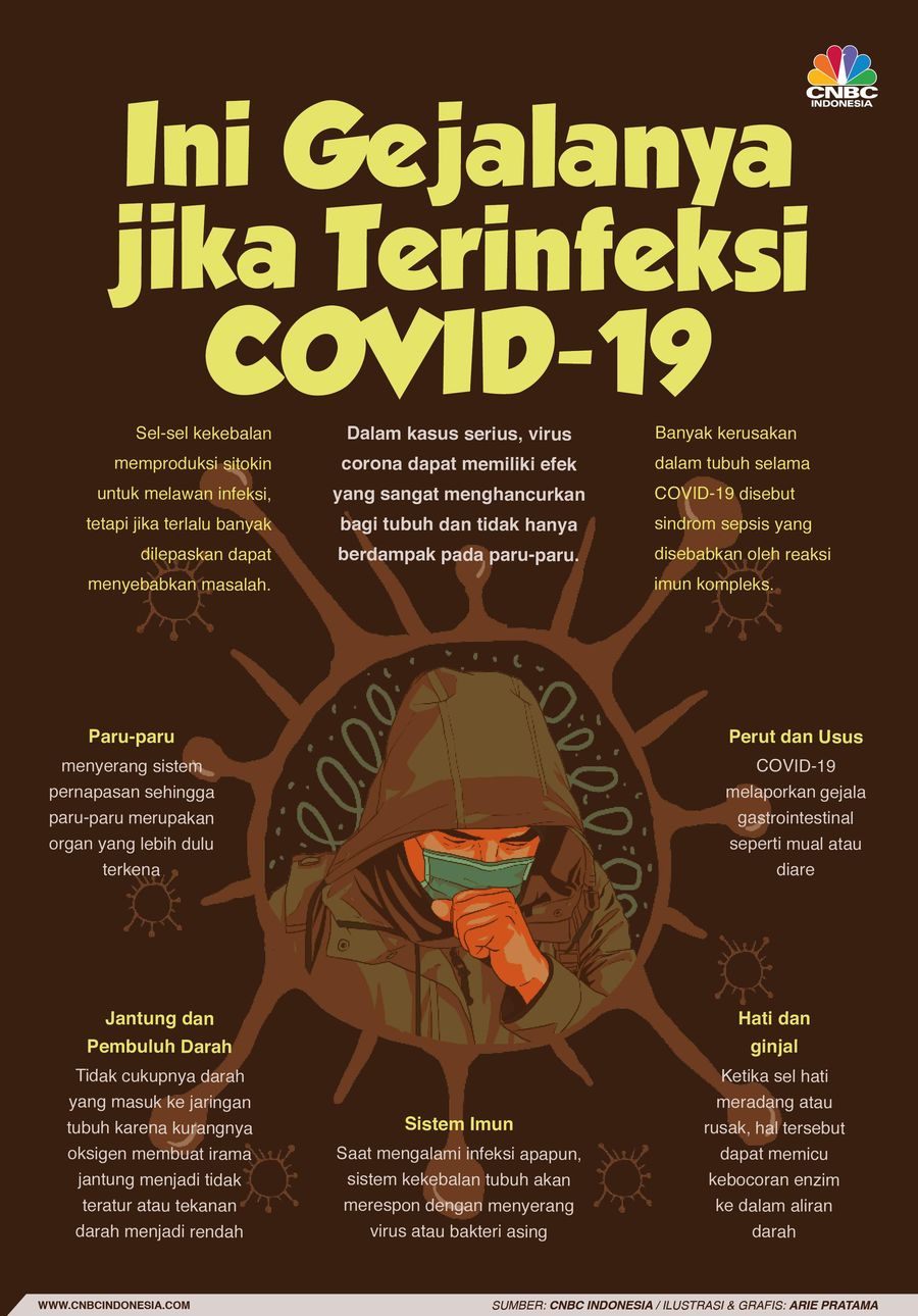 Begini yang Terjadi Saat Seorang Terjangkit Virus Corona Virus corona atau covid-19 menyerang paru-paru lebih dahulu, setelah itu organ lainnya.