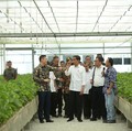 Kapan RI Evakuasi WNI di Diamond Princess? Jokowi: Secepatnya