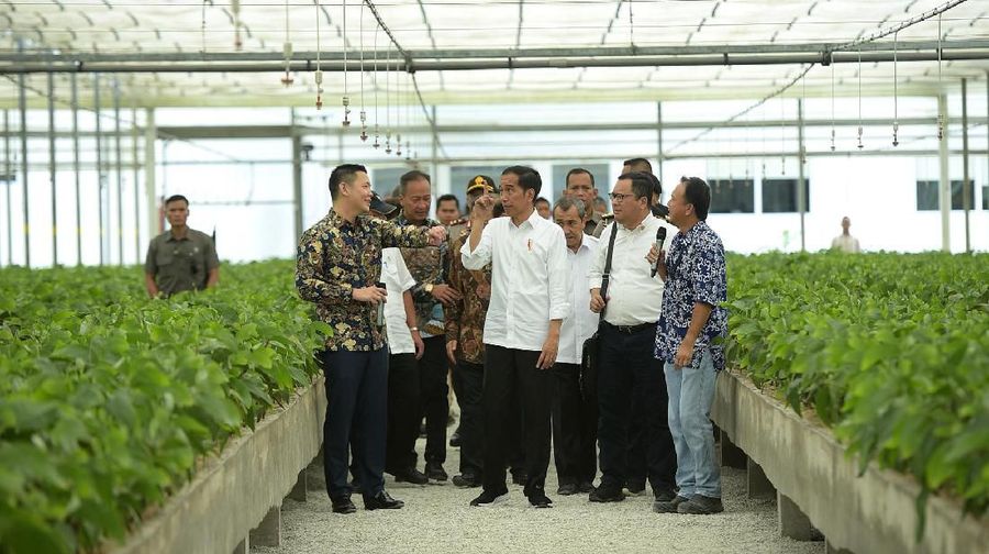 Demikian kata Jokowi di Kabupaten Pelalawan, Provinsi Riau, seperti dikutip laman Sekretariat Kabinet, Jakarta, Jumat (21/2/2020).