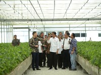 Kapan RI Evakuasi WNI di Diamond Princess? Jokowi: Secepatnya