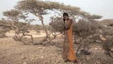 Kemiskinan yang menjerat warga Ethiopia membuat warganya mempertaruhkan kemampuan dan nyawa untuk memperbaiki nasib. (AP Photo/Nariman El-Mofty)