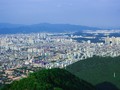 7 Wisata di Daegu, dari Pasar Tekstil sampai Pasar Obat