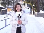 CNBC Explains Kenapa Ada Isu Lingkungan di WEF Davos