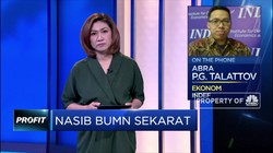 Rencana Merger BUMN Sekarat, Ekonom: Perlu Kajian Cermat