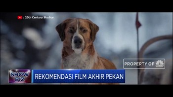 The Call of The Wild, Rekomendasi Film Akhir Pekan Ini