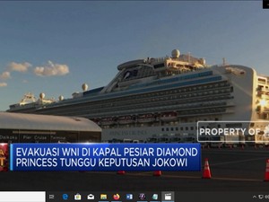 Keputusan Evakuasi WNI Diamond Princess di Tangan Jokowi