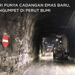 RI Punya Cadangan Emas Baru, Ngumpet di Perut Bumi