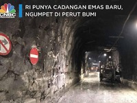 RI Punya Cadangan Emas Baru, Ngumpet di Perut Bumi