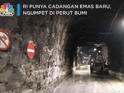 RI Punya Cadangan Emas Baru, Ngumpet di Perut Bumi