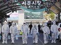 FOTO: Virus Corona Menghantui Korea Selatan