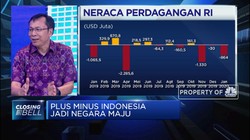 Raden Pardede: Perlunya Mitigasi Dampak RI jadi Negara Maju