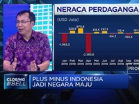 Raden Pardede: Perlunya Mitigasi Dampak RI jadi Negara Maju