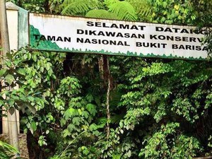 Mengenal Taman Nasional Bukit Barisan Selatan di Bengkulu