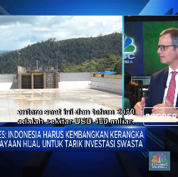 IFC: RI Perlu Kembangkan Kerangka Pembiayaan Hijau