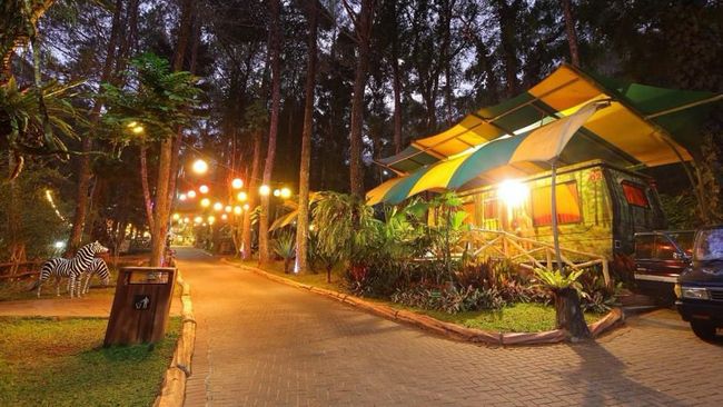 Liburan Unik, Menginap di Mobil Caravan Tengah Hutan