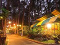 Liburan Unik, Menginap di Mobil Caravan Tengah Hutan