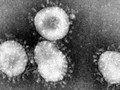 Ahli Respons Dokter AS soal Virus Corona Hidup di Benda Mati