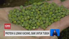 VIDEO: Manfaat Protein dan Lemak Kacang untuk Tubuh